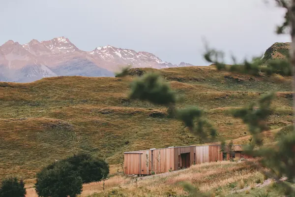 Golden hills below snow-capped mountains